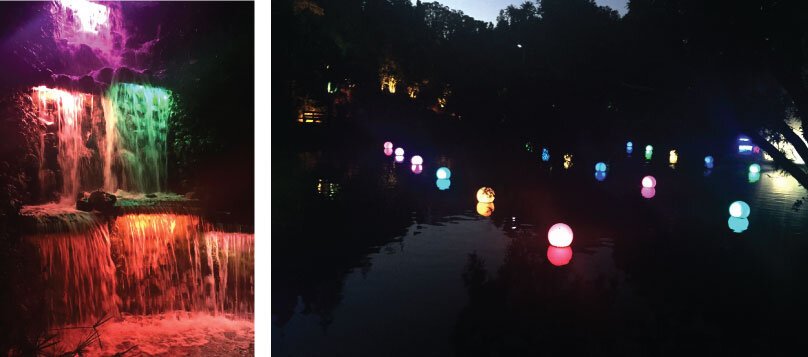 festival of lights new plymouth festival of lights new plymouth