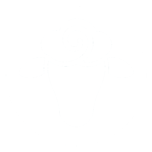 Merino