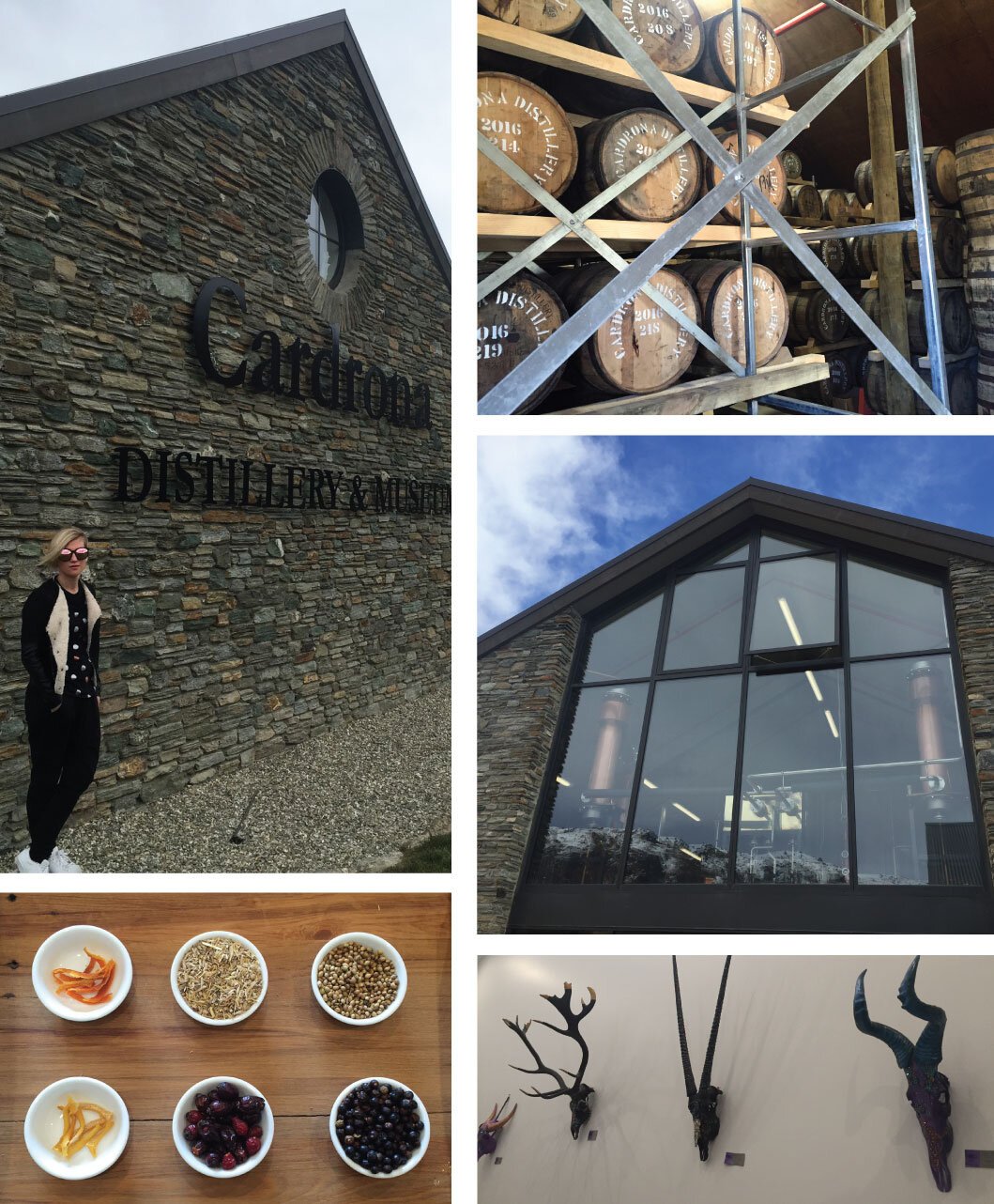 cardrona distillery