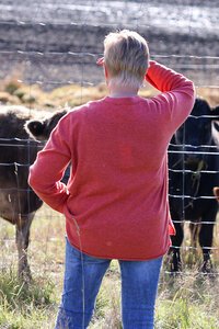 Loobies Story Juniper Sweater