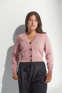 Standard Issue Merino V Neck Cardigan