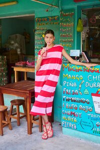 Haven Jardin Stripe T-Shirt Dress