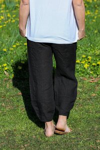 AE Luxe Tapered Linen Pant