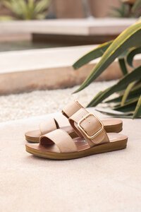 Los Cabos Doti Slide