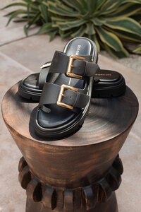 Los Cabos Toledo Slide