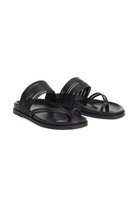 EOS Carmelle Slide