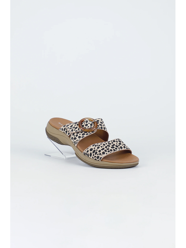 Bay Lane Tacoma Slide