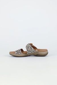 Bay Lane Tacoma Slide