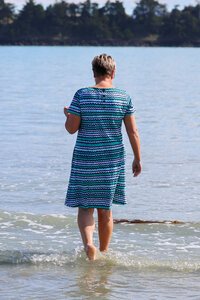 Foil Captains Choice Dress