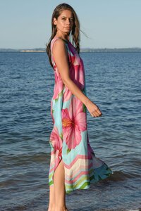 Curate Star Appeal Dress