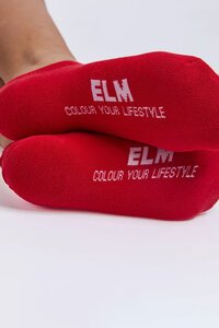 Elm No Show Sock - 3PK