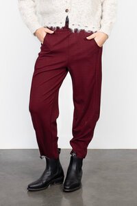 Antler Bohdi Pant