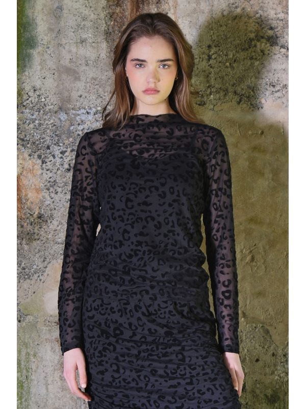 Coop Spotted In The Wild Top