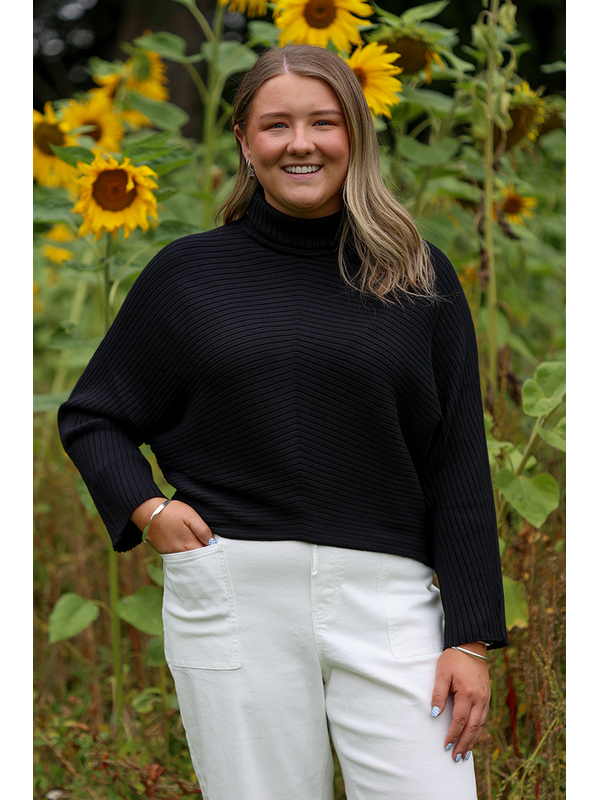 Oh Three Chevron Rib Roll Neck Sweater