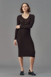 Standard Issue Merino Henley Dress