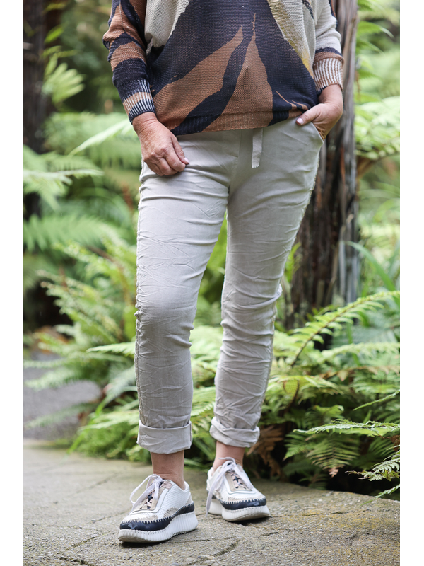 AE Luxe Side Trim Stretchy Crinkle Plain Pant