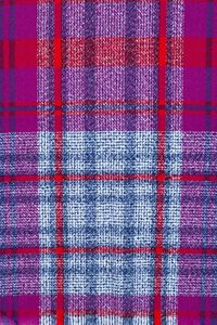 Ivys Woven Plaid Scarf