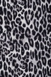 Ivys Leopard Print Scarf