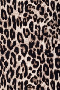 Ivys Leopard Print Scarf
