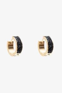 Antler Raven Earring