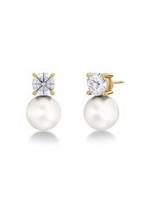 Edblad Luna Studs Large Gold Earrings