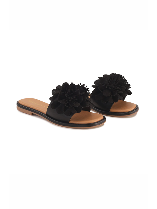 Los Cabos Lyla Slide