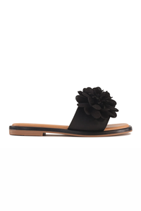 Los Cabos Lyla Slide