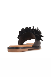 Los Cabos Lyla Slide