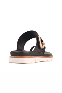 Los Cabos Sane Slide