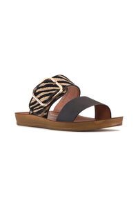 Los Cabos Doti Slide