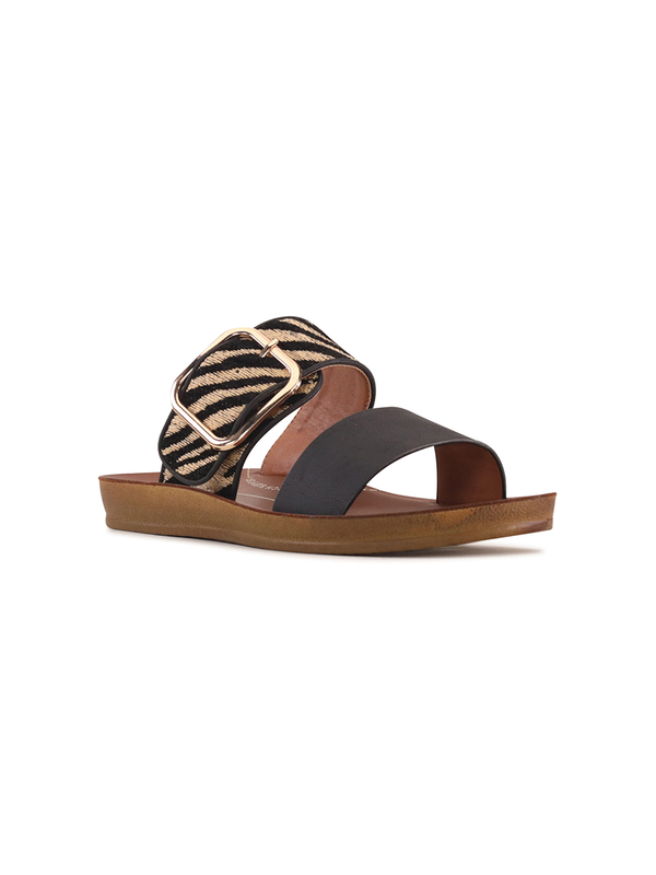 Los Cabos Doti Slide