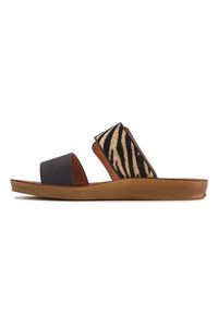 Los Cabos Doti Slide