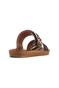 Los Cabos Doti Slide