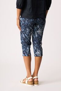 Esplanade 3-4 Printed Pant