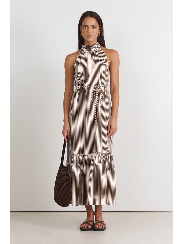 Adorne Rosa Stripe Maxi Dress